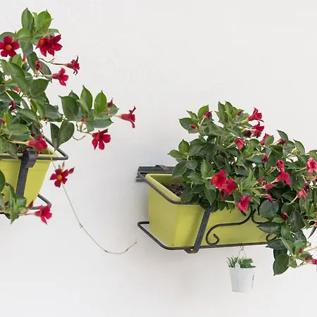 Appartement Confortevole E Fresco Seminterrato *