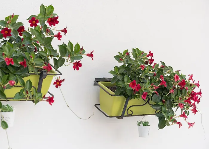 Daire Confortevole E Fresco Seminterrato *